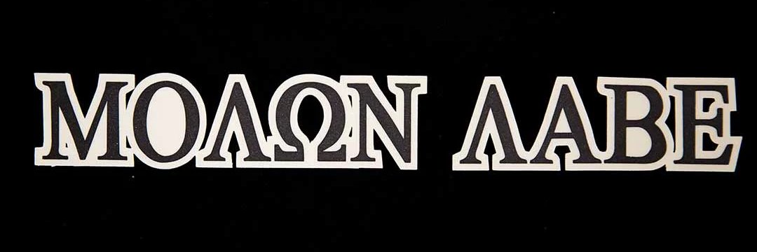 Taking 🇺🇸 Back 🇺🇸 America banner