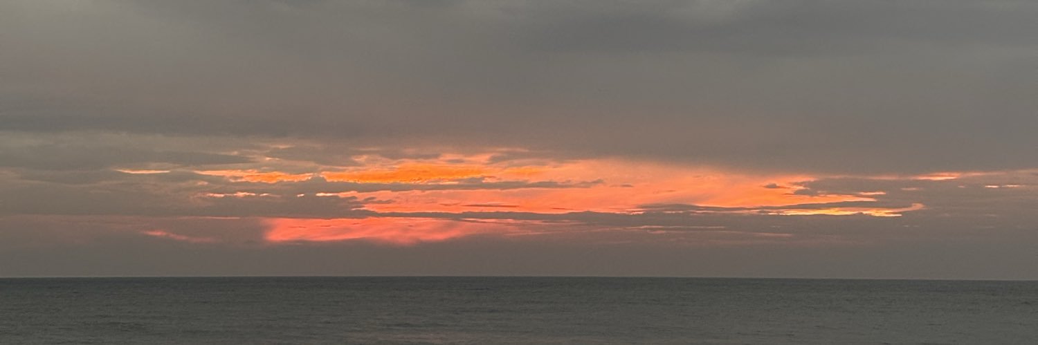 Dimethri Perera banner