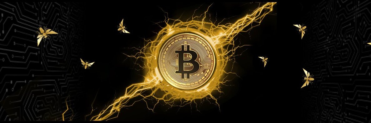 SacTown HODL ⚡️'s banner