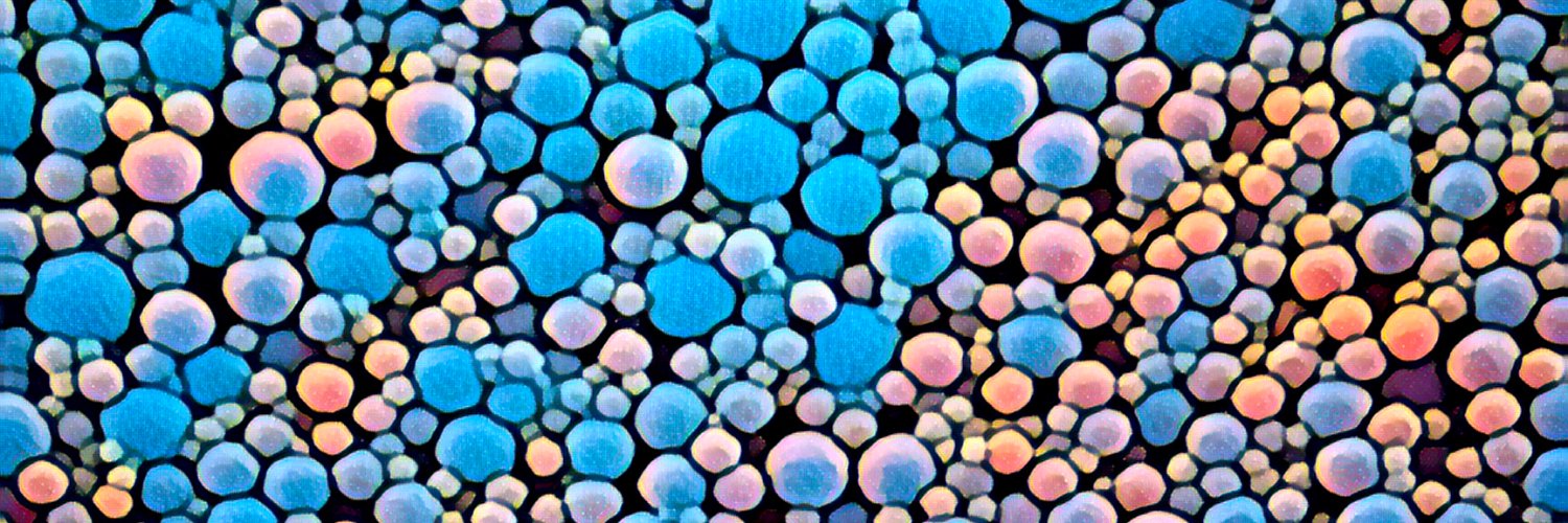 Alex Piotrowski-Daspit banner