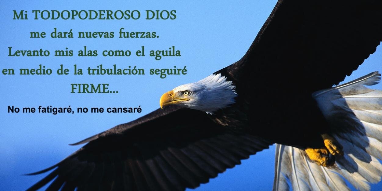 El Aguila banner