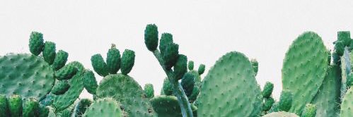 bridgettleighjo's profile banner image