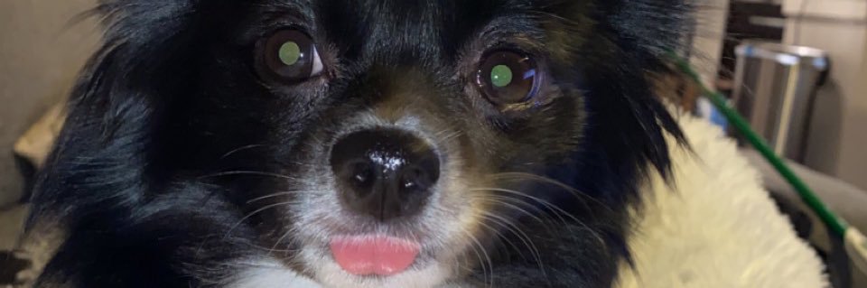 mehhgg's profile banner image