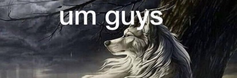 _vrouf's profile banner image