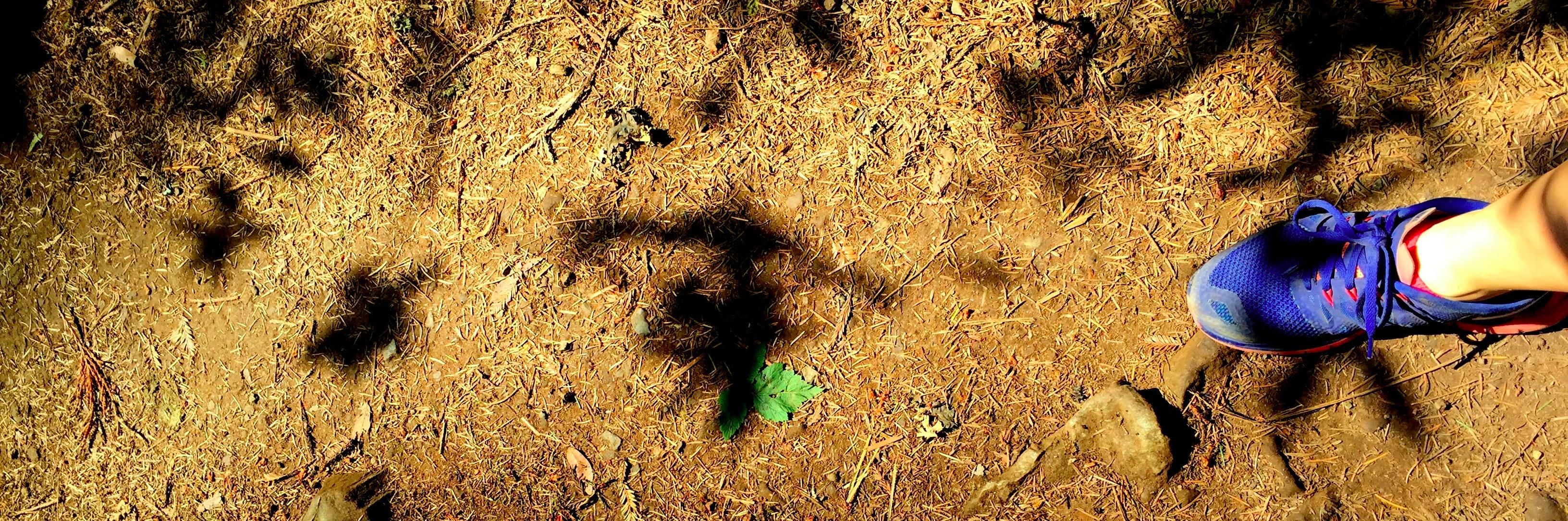 zelashoe's profile banner image