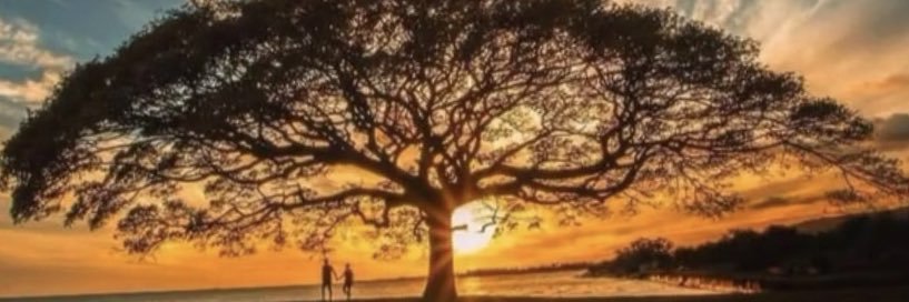 TSefuti's profile banner image