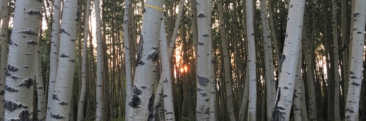 finchy45's profile banner image