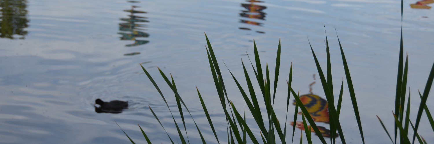 DoubleChecking's profile banner image
