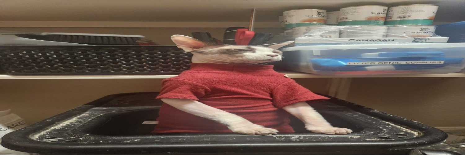 thiccynicky banner