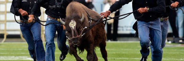 buffzone Profile Banner