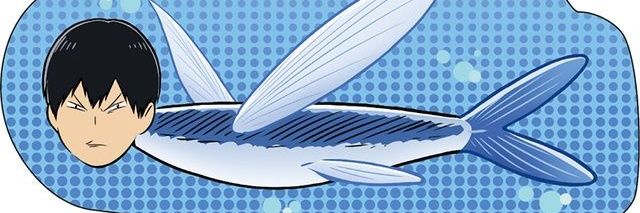 ketoshwilly's banner
