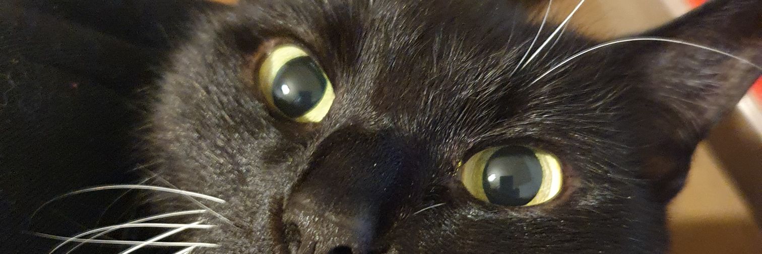 SirPerryBerry's profile banner image