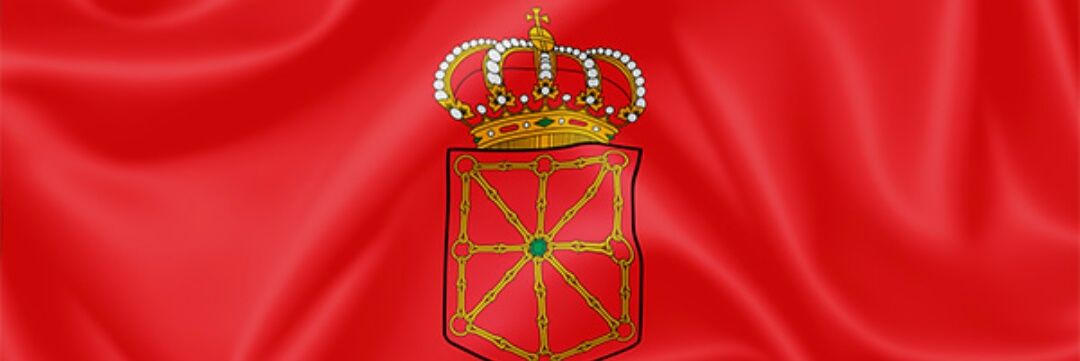 Nieves Ulayar. banner