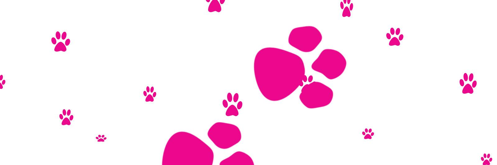 StrainNeko's profile banner image