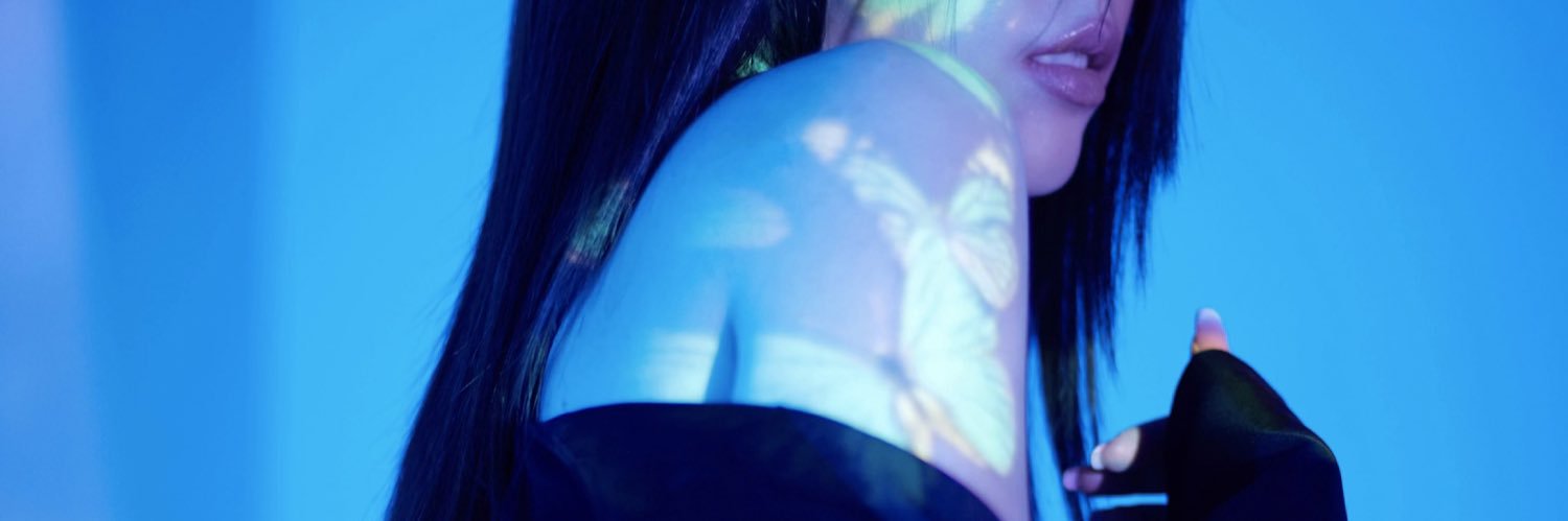 Pam Anshisa banner