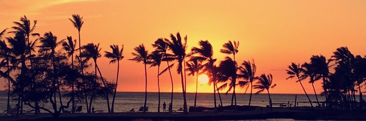 Senor_Jack_'s profile banner image