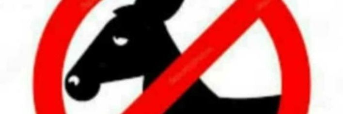 Arnaldo Camejo banner