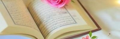 Chelsea Brader banner