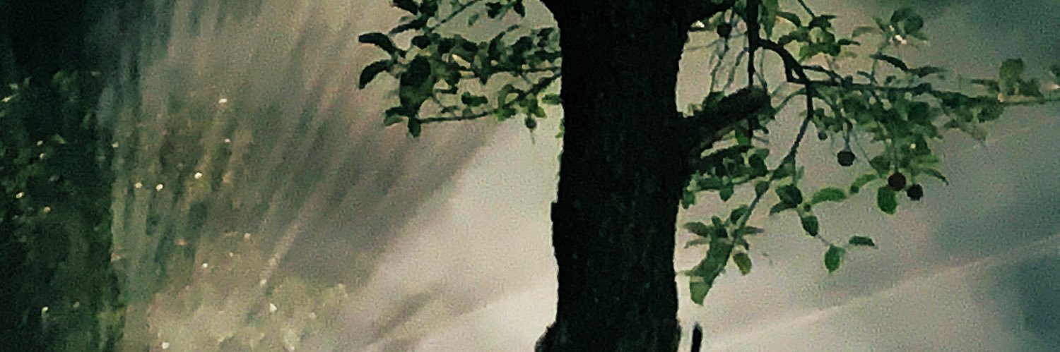 abhz79's profile banner image