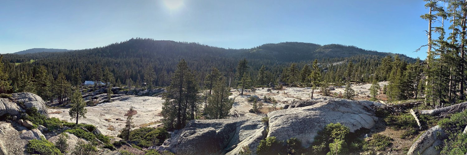 Alan Williams banner