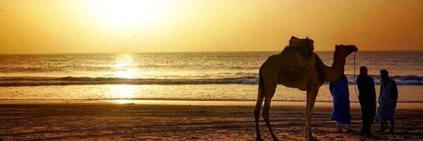 SenaMedVall's profile banner image