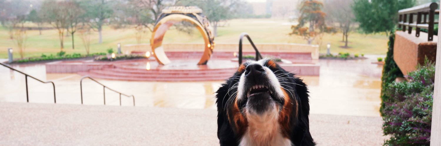 Travis Walker banner