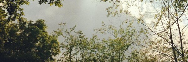 ktrnian Profile Banner