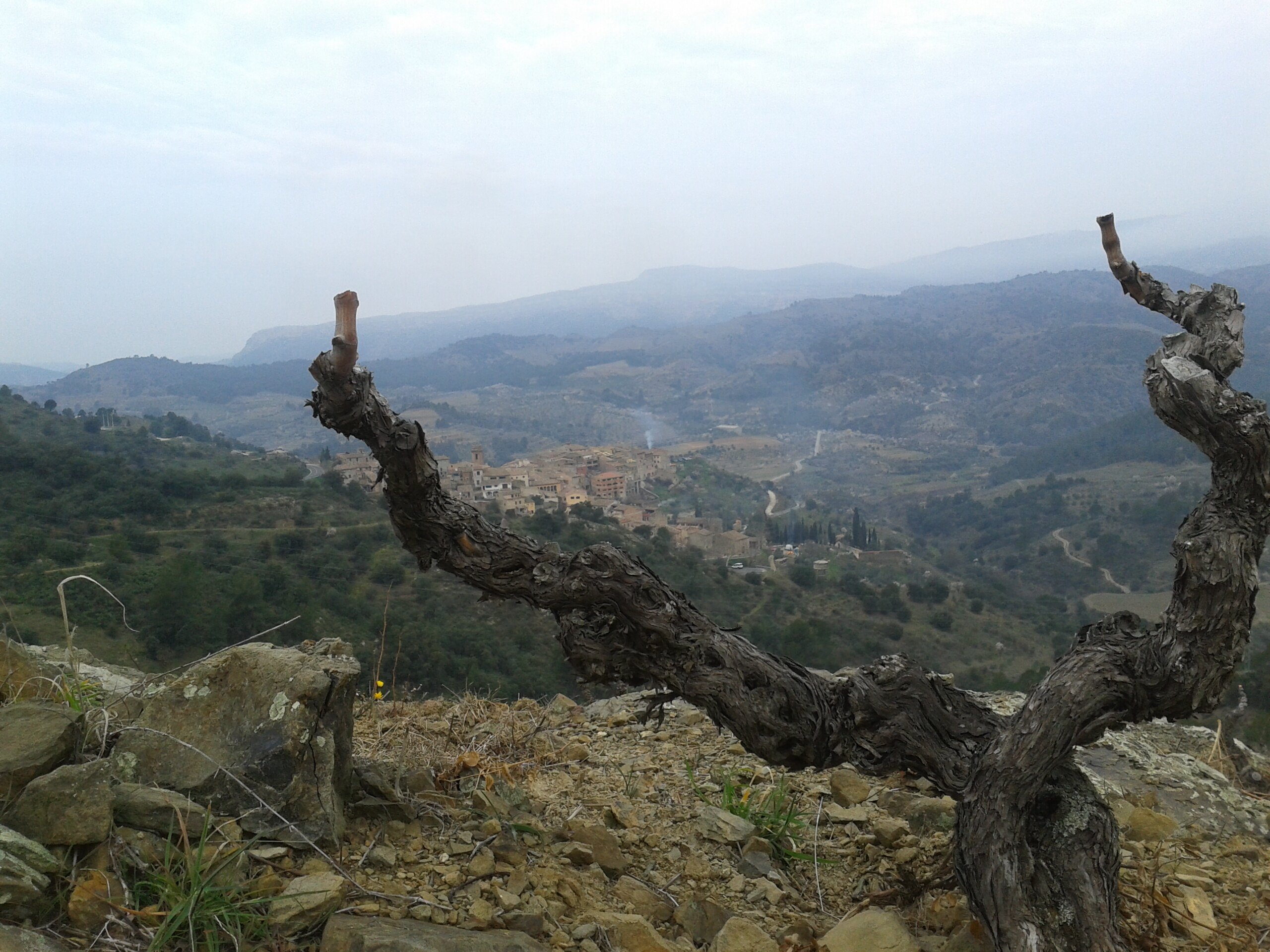 aitor_paul's profile banner image