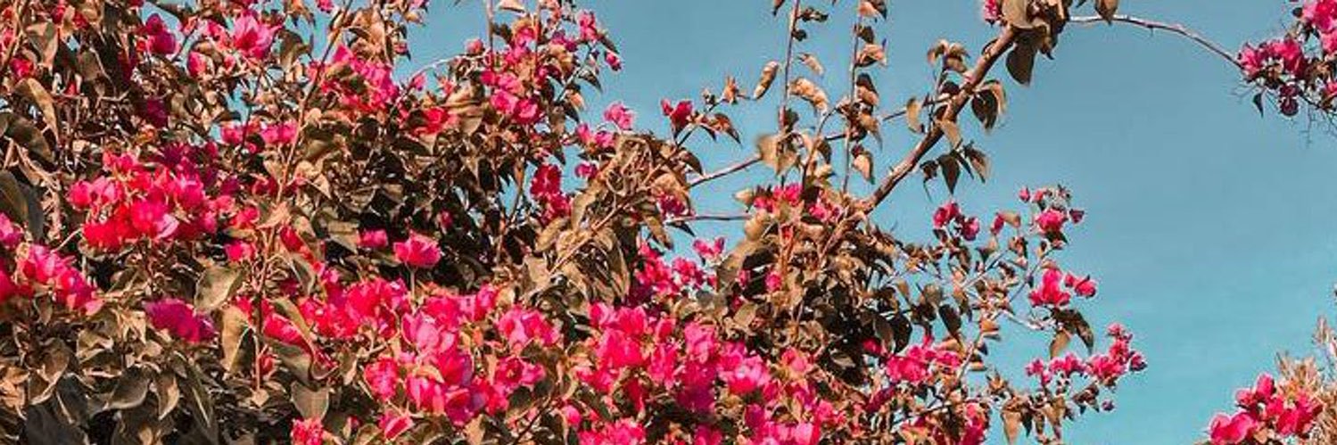 فطِيم banner