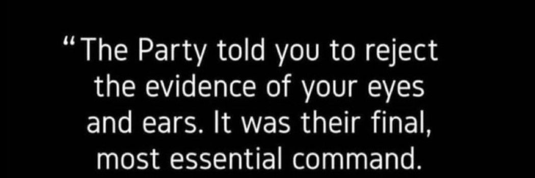 🇫🇷🇦🇺Rabbit in the headlights🐄🚜 banner