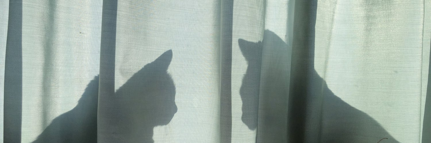 sudo006's profile banner image