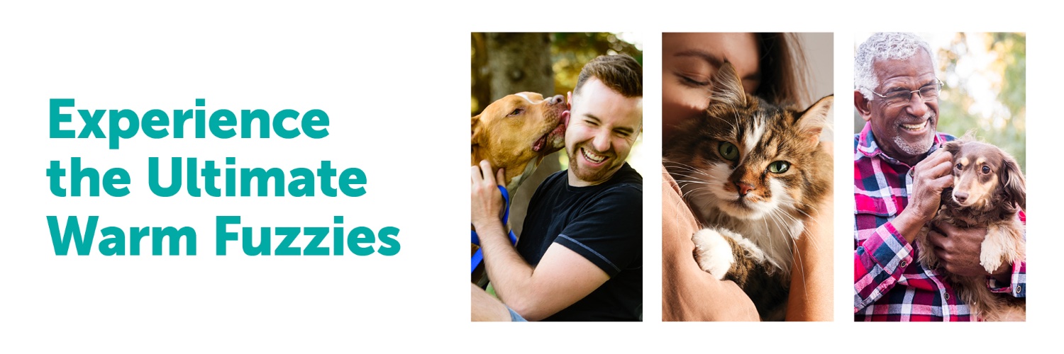 The Animal Foundation's banner