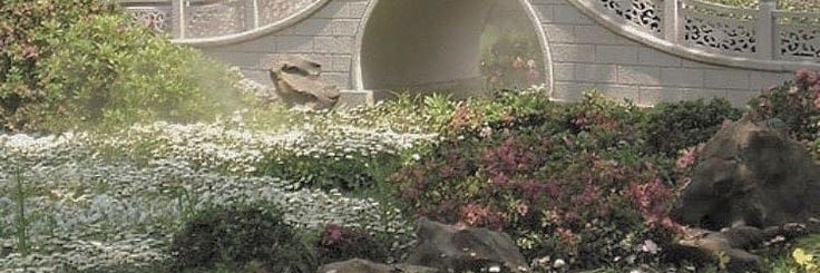 christy banner