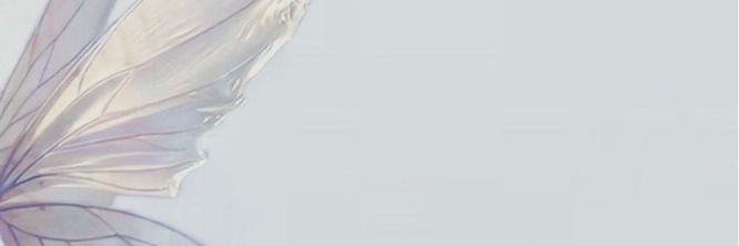 firdaus7fatima's profile banner image