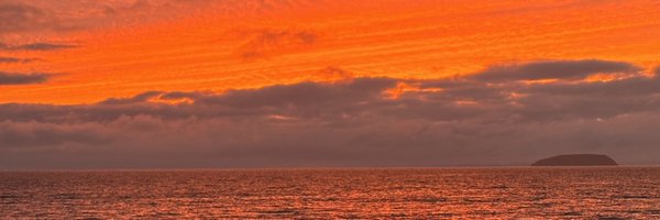 AmberWait5 Profile Banner