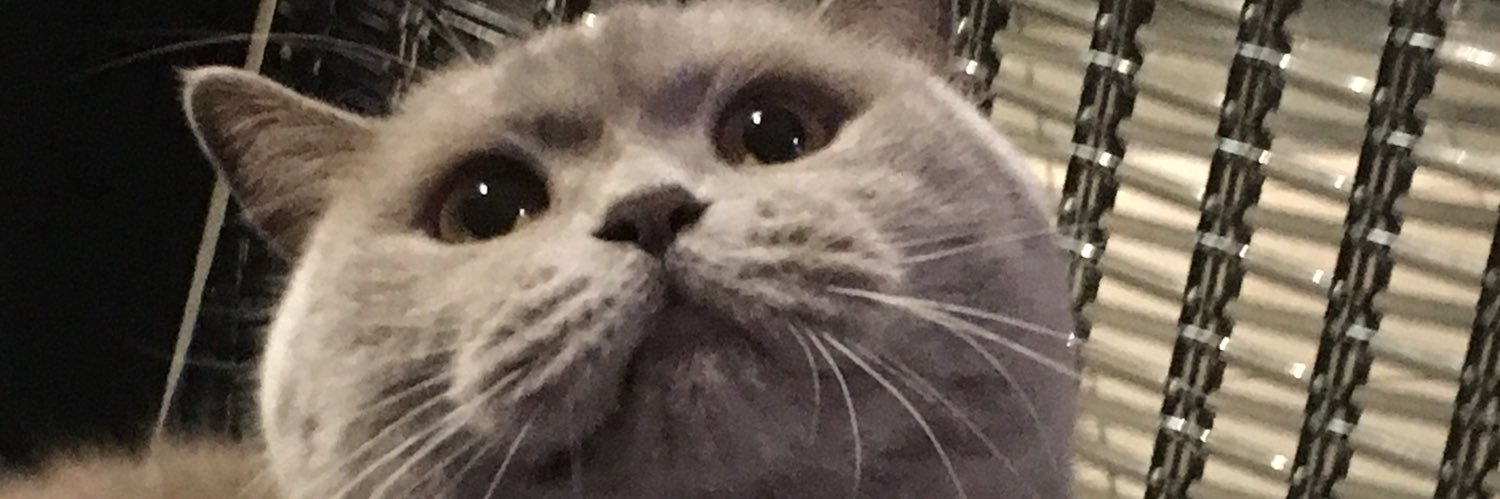 S@ndr@ Ni Couverture⭐️⭐️ banner