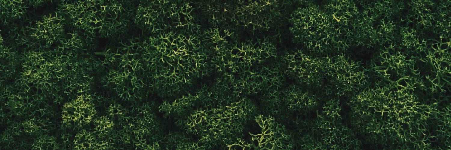 Loïs Pausé banner