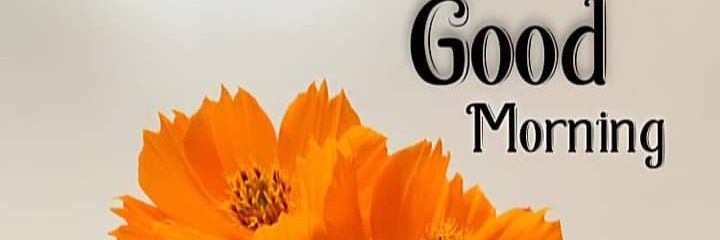 ADVRAJENDRA4's profile banner image