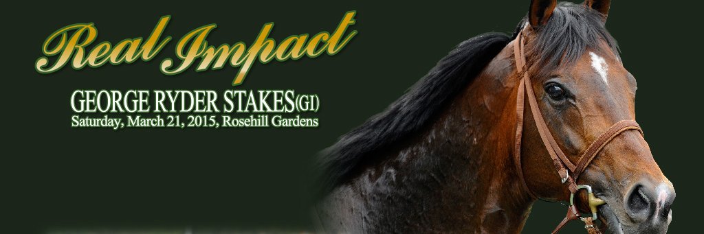 hirokingstable's profile banner image