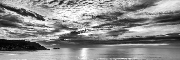 E. Imlosingitcompletely. banner