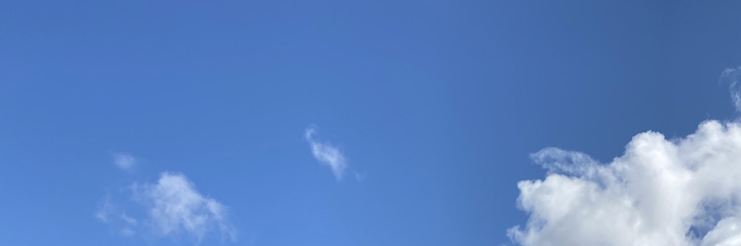 ImmeSnarberg's profile banner image