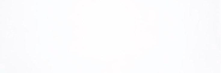 n. banner