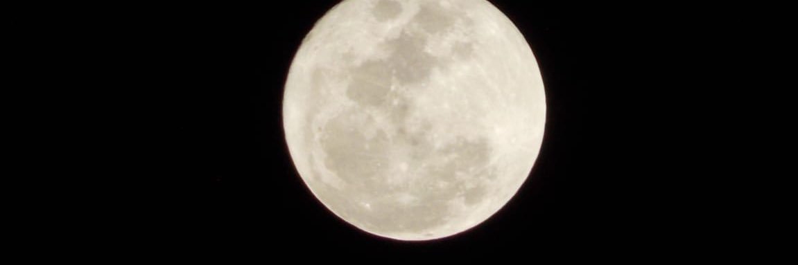 bella_22of's profile banner image
