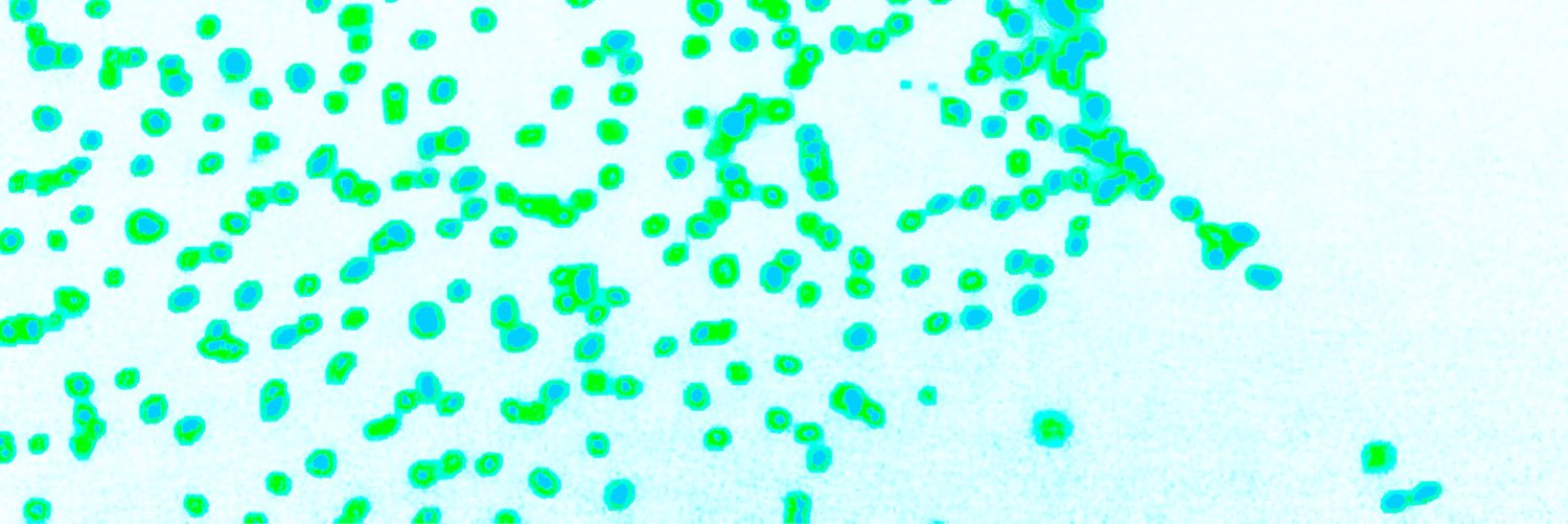 mary_caste's profile banner image