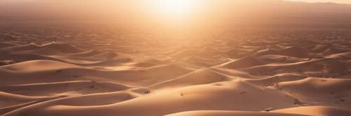 Çöl Aslanı banner