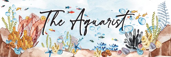 The Aquarist Profile Banner