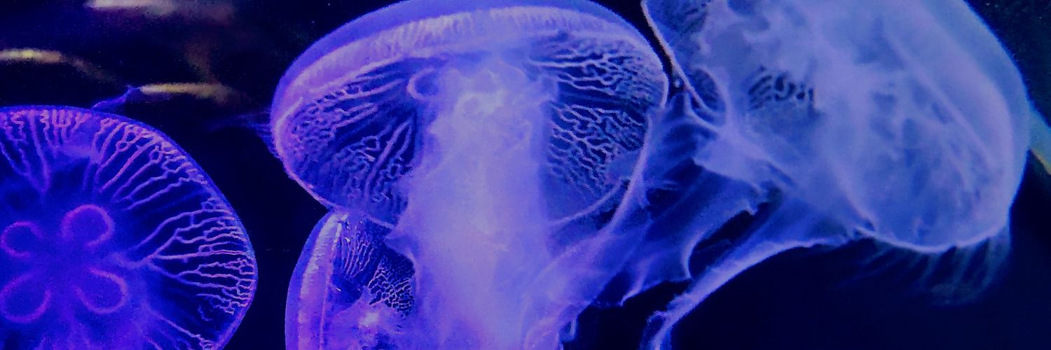 a_fumon's profile banner image