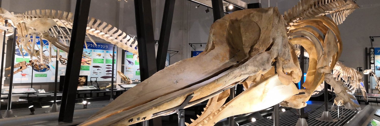 ashoromuseum's profile banner image
