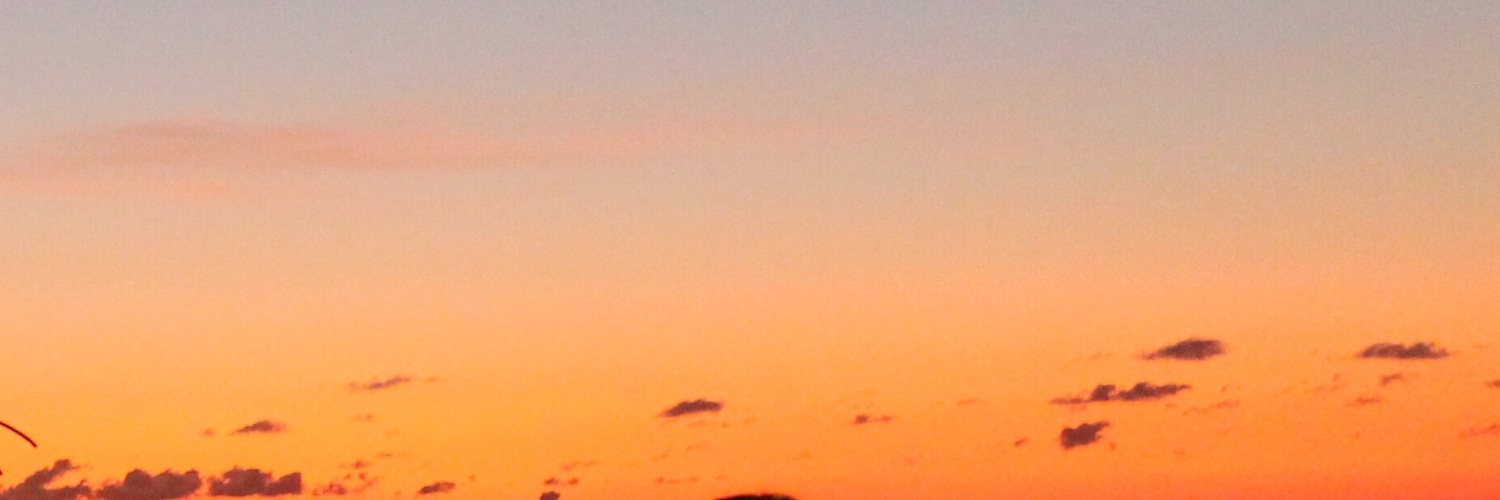 Isesi T’Nehesi banner