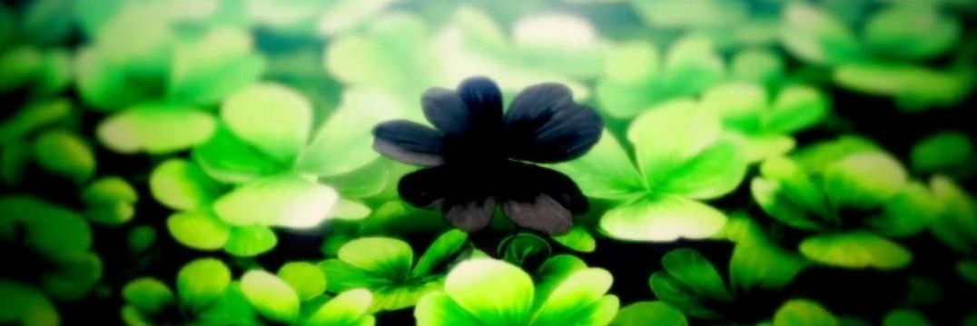 𝐈𝐆𝐧𝐚𝐮 banner